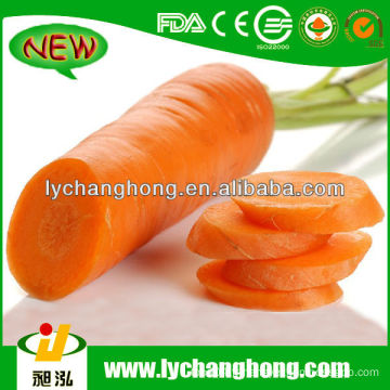 2014 Carrot Price